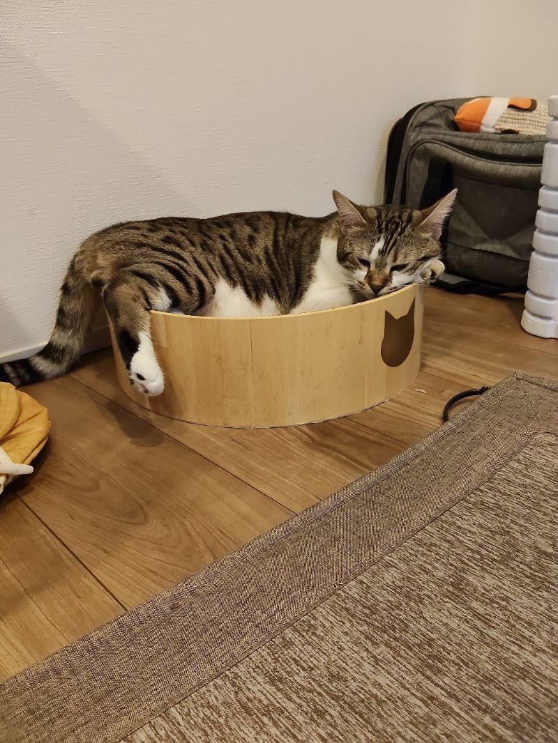 ラヴの写真