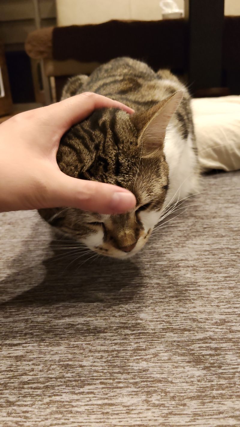 ラヴの写真