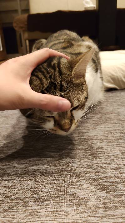 ラヴの写真