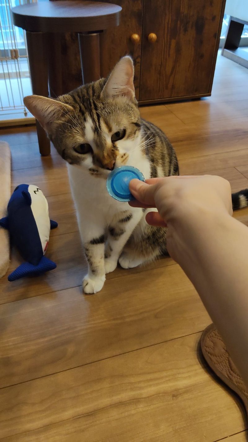 ラヴの写真