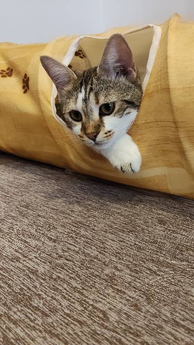 ラヴの写真