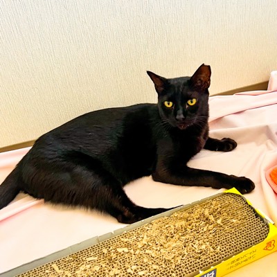 いーくろ くんの写真