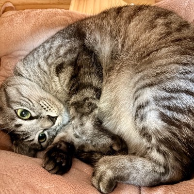 LUNA♡の写真