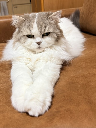うーたんの写真