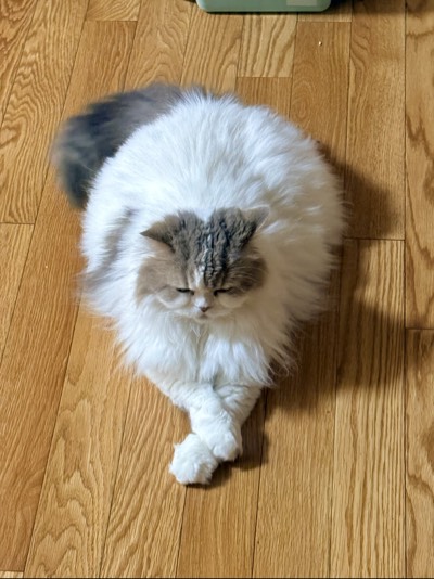 うーたんの写真