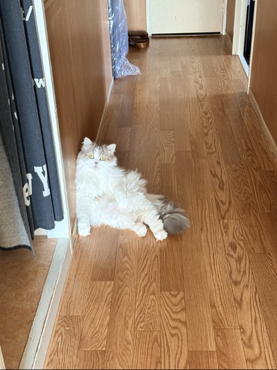うーたんの写真