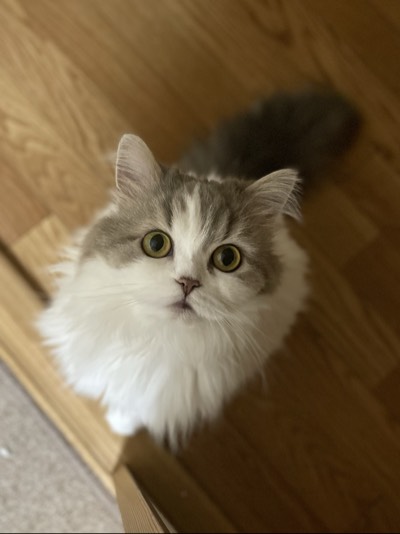 うーたんの写真