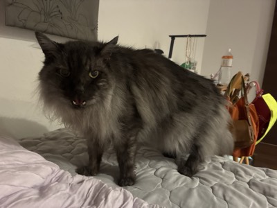くうの写真