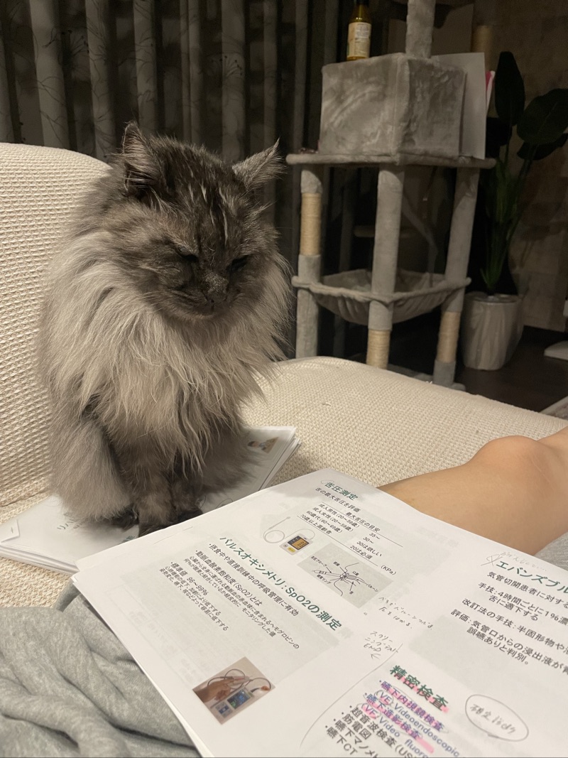 くうの写真