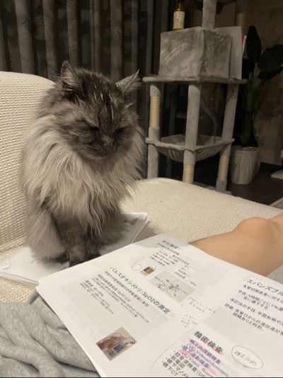 くうの写真