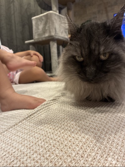 くうの写真