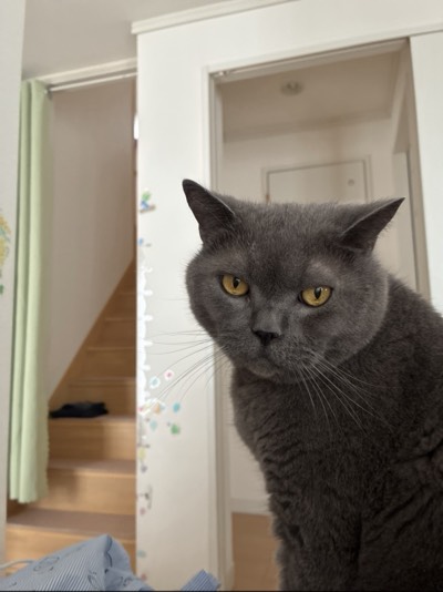 くうの写真