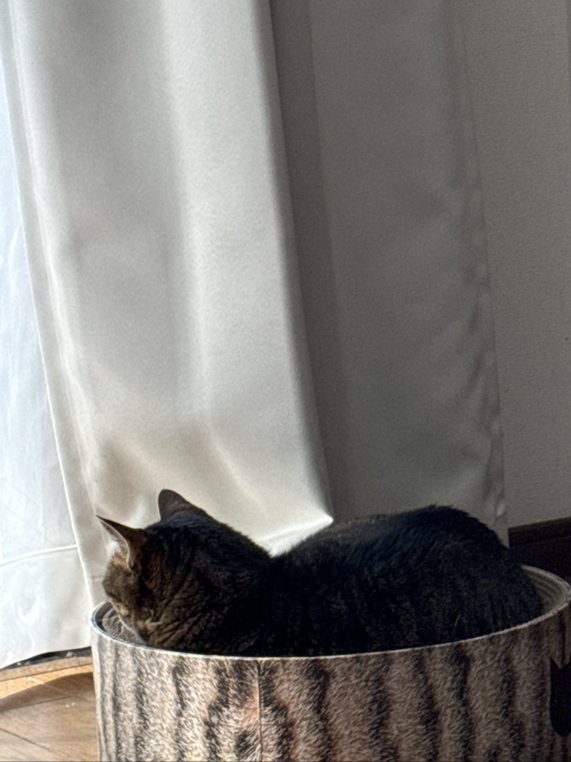 ティアの写真