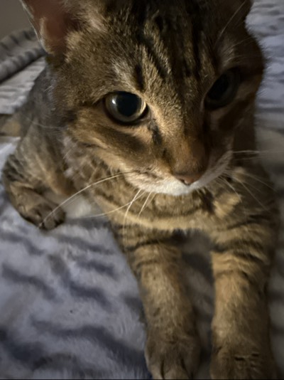 ティアの写真