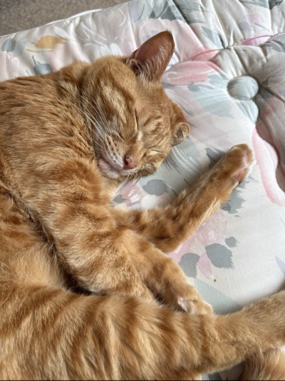 もこの写真