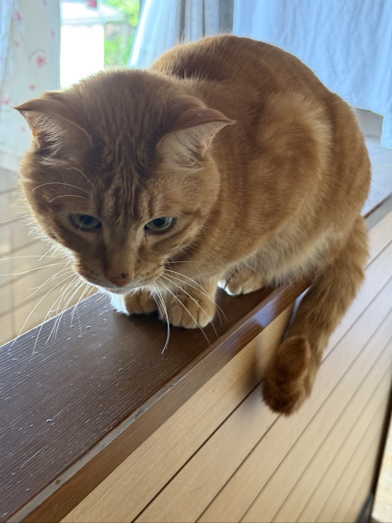 もこの写真