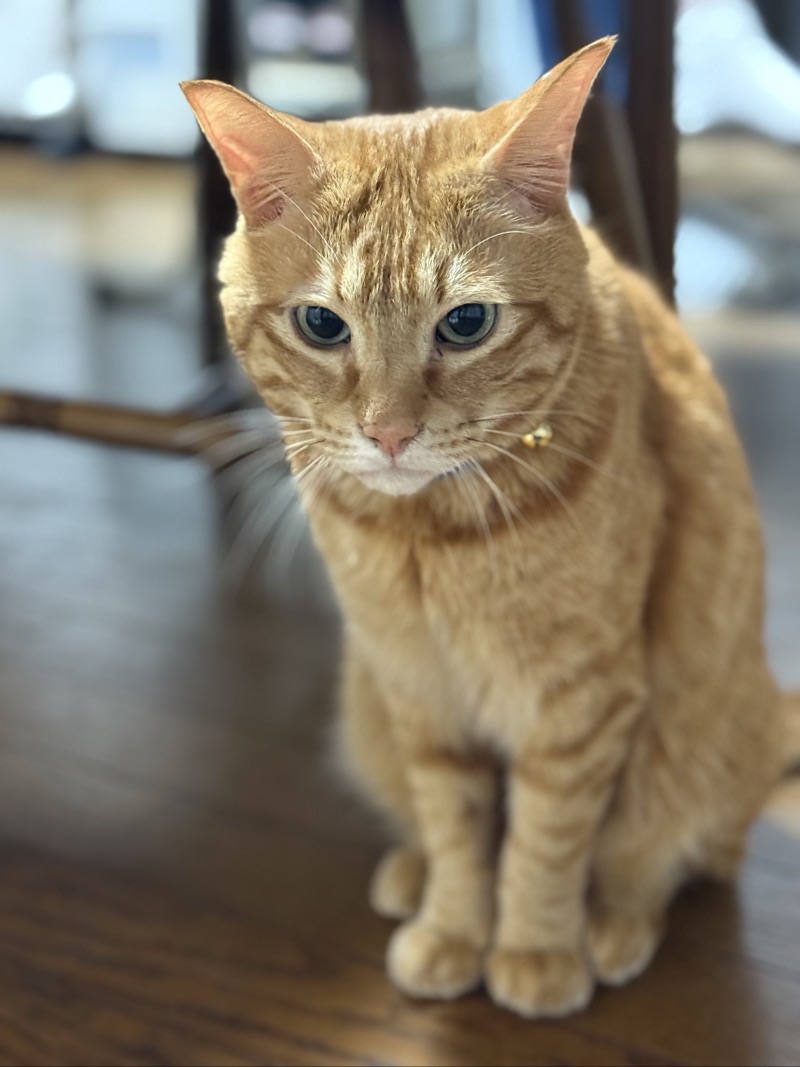 もこの写真