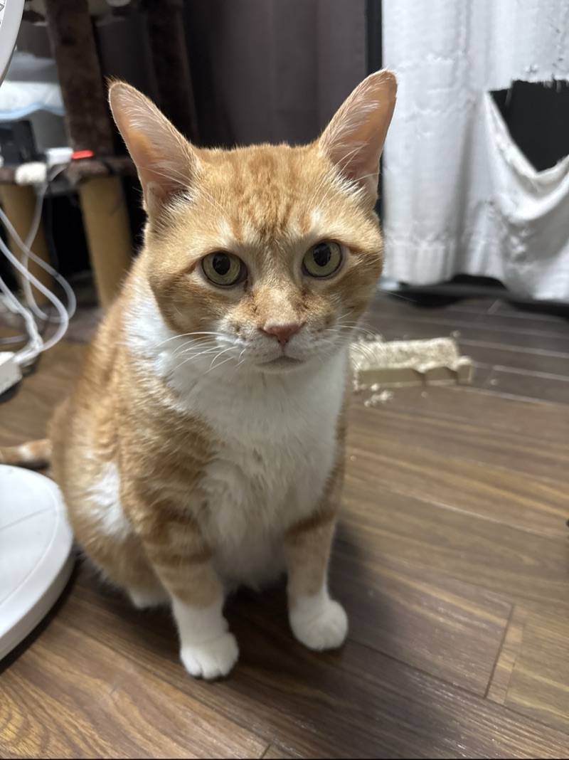 王子の写真