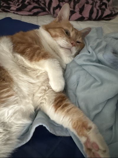 王子の写真